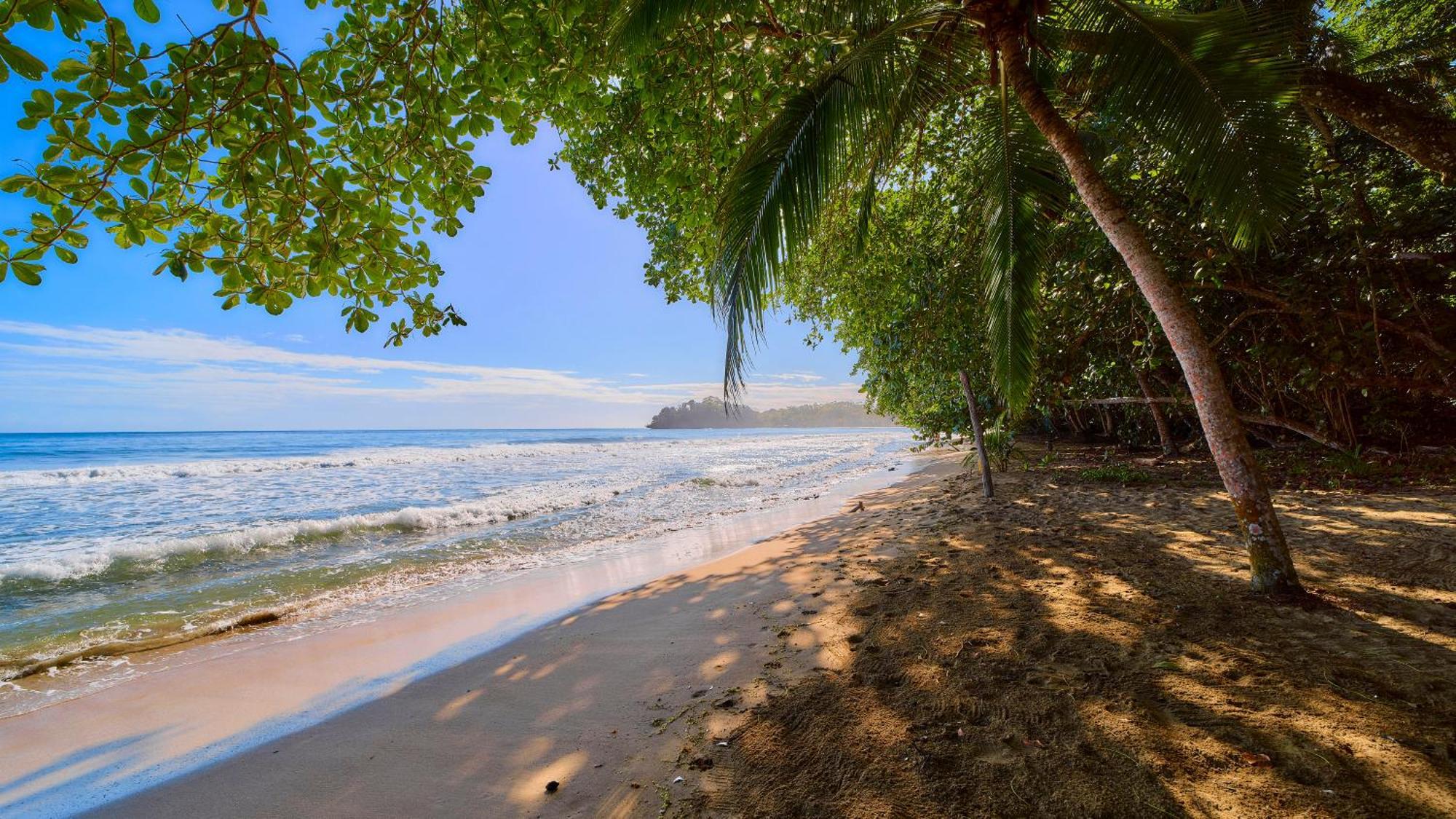 Dragonfly Beachfront Villas-adult Only Resort