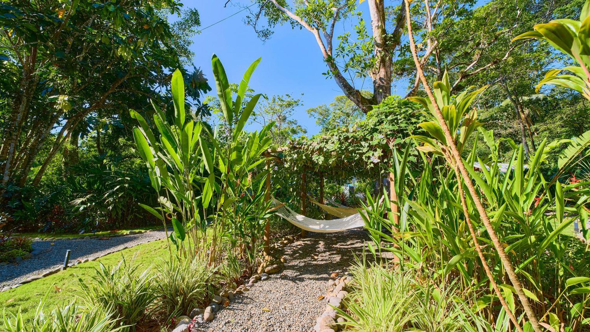 Dragonfly Beachfront Villas-adult Only Resort *