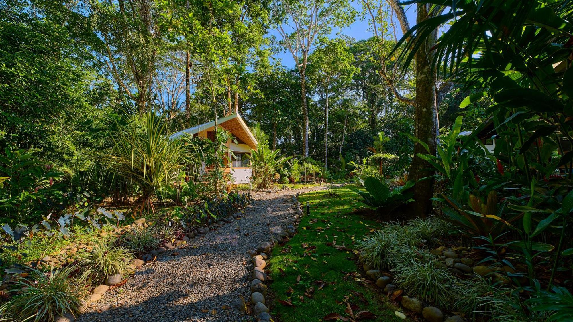 Resort Dragonfly Beachfront Villas-adult Only *