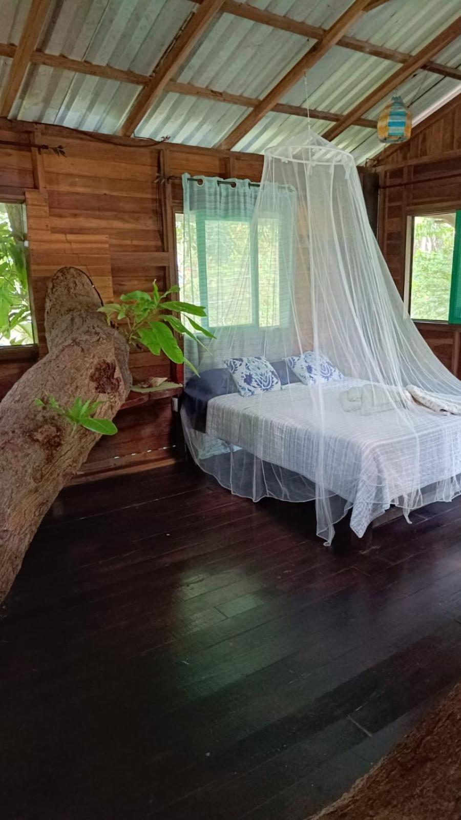 Playa Grande & Tree House * Cahuita