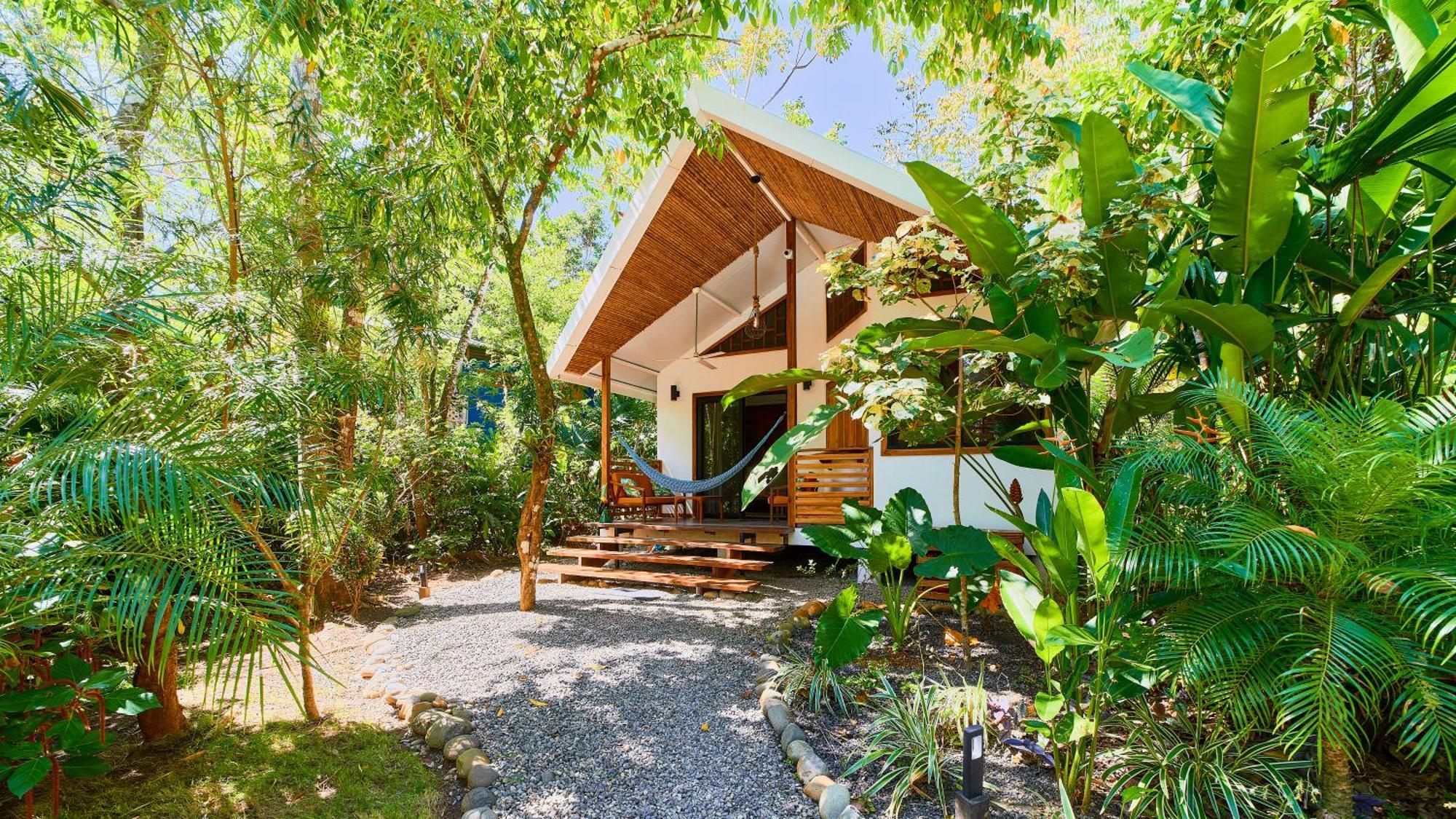 Dragonfly Beachfront Villas-adult Only Resort Punta Uva