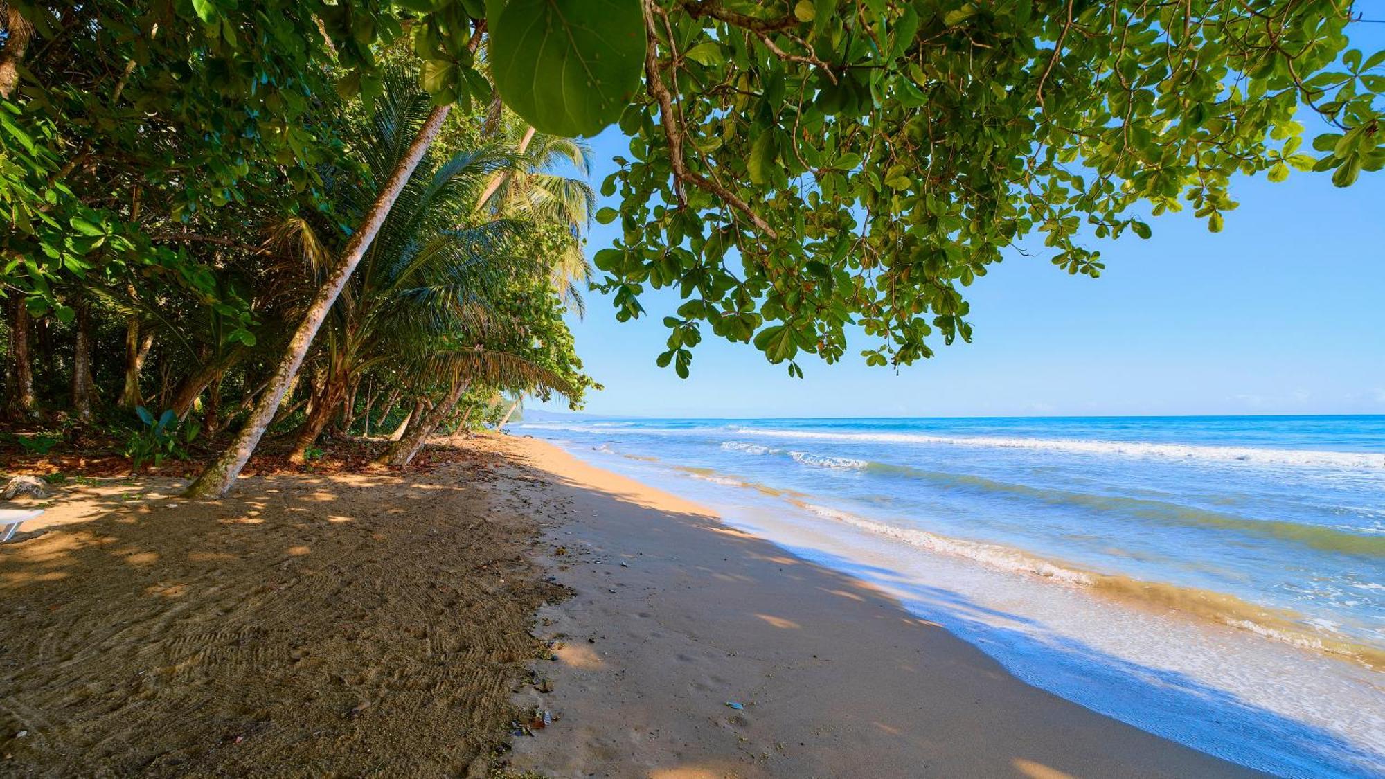 Dragonfly Beachfront Villas-adult Only Resort Punta Uva
