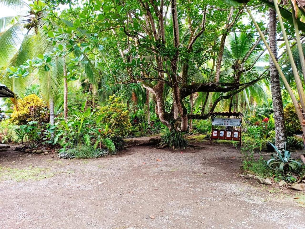 La Diosa 4* Cahuita