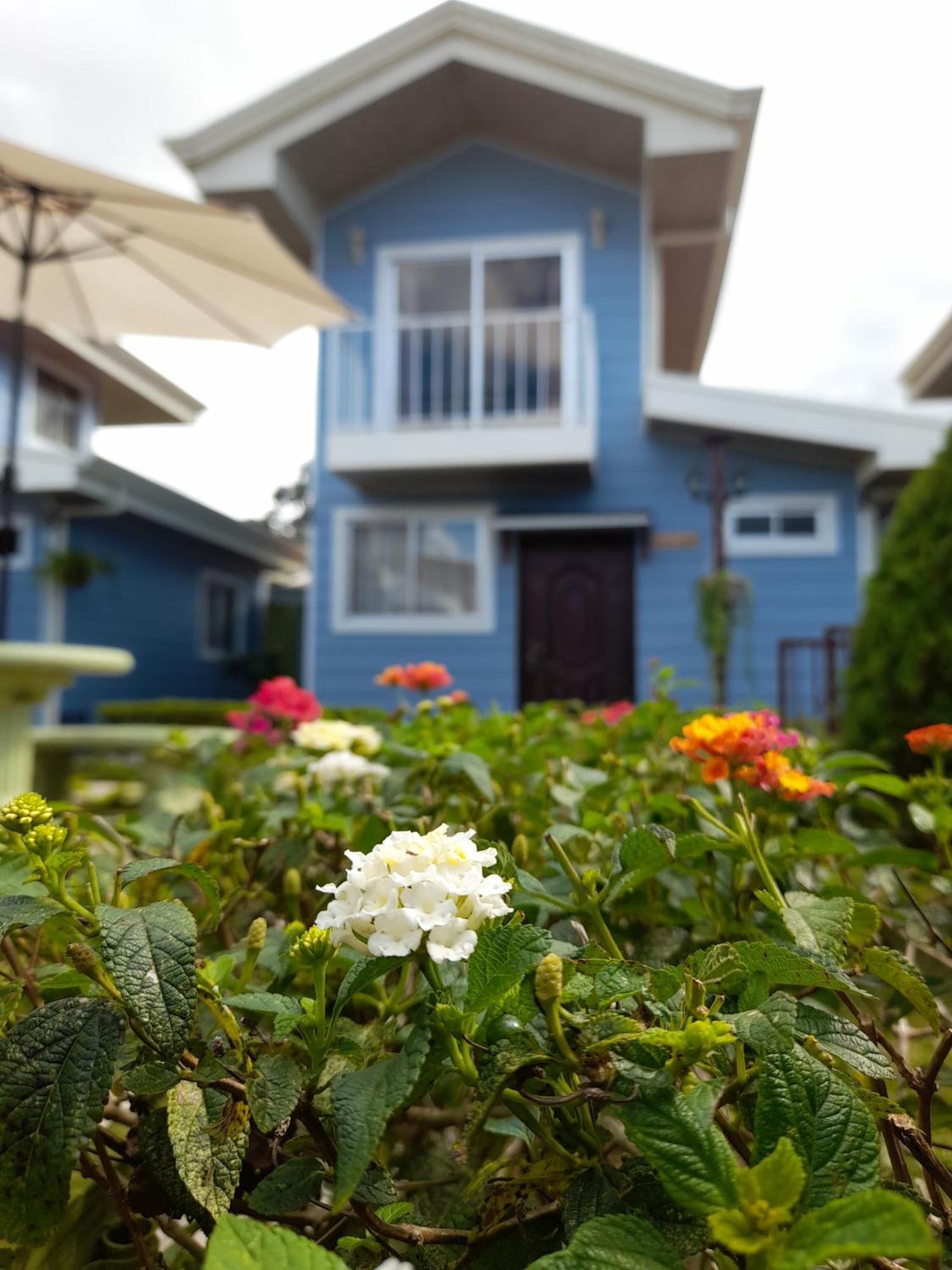 Valley Bed & Breakfast Orosi