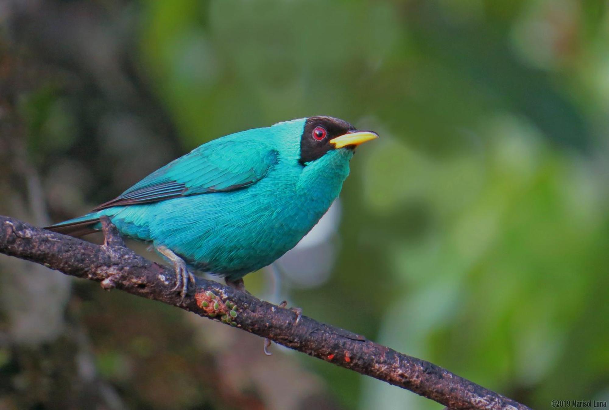 La Selva Biological Station