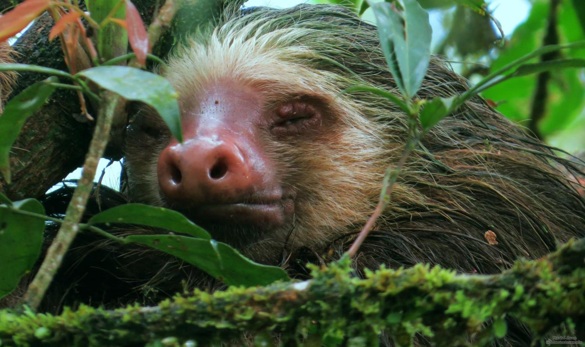 La Selva Biological Station Hotel