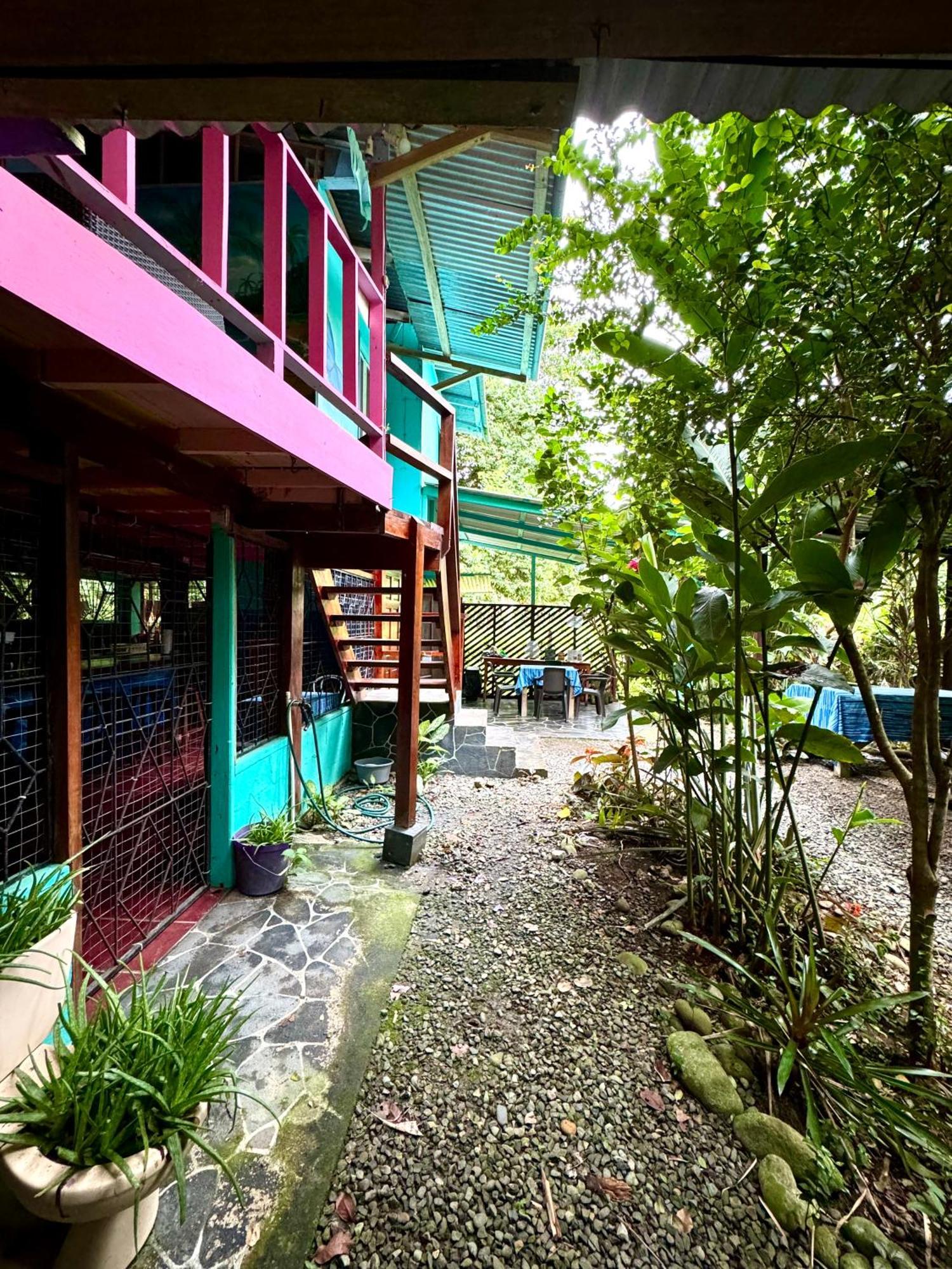 Hidden Jungle House *