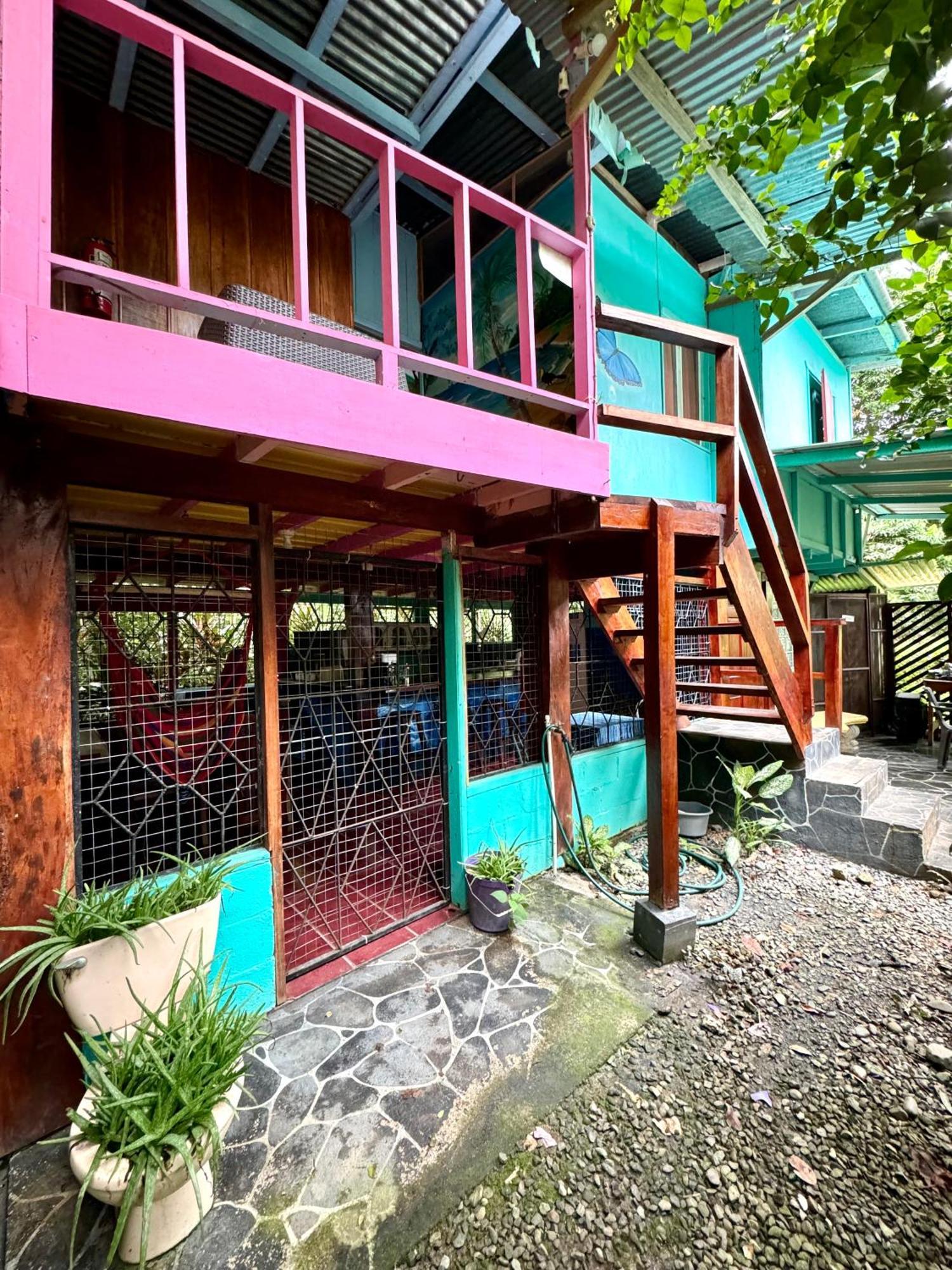 Hidden Jungle House *