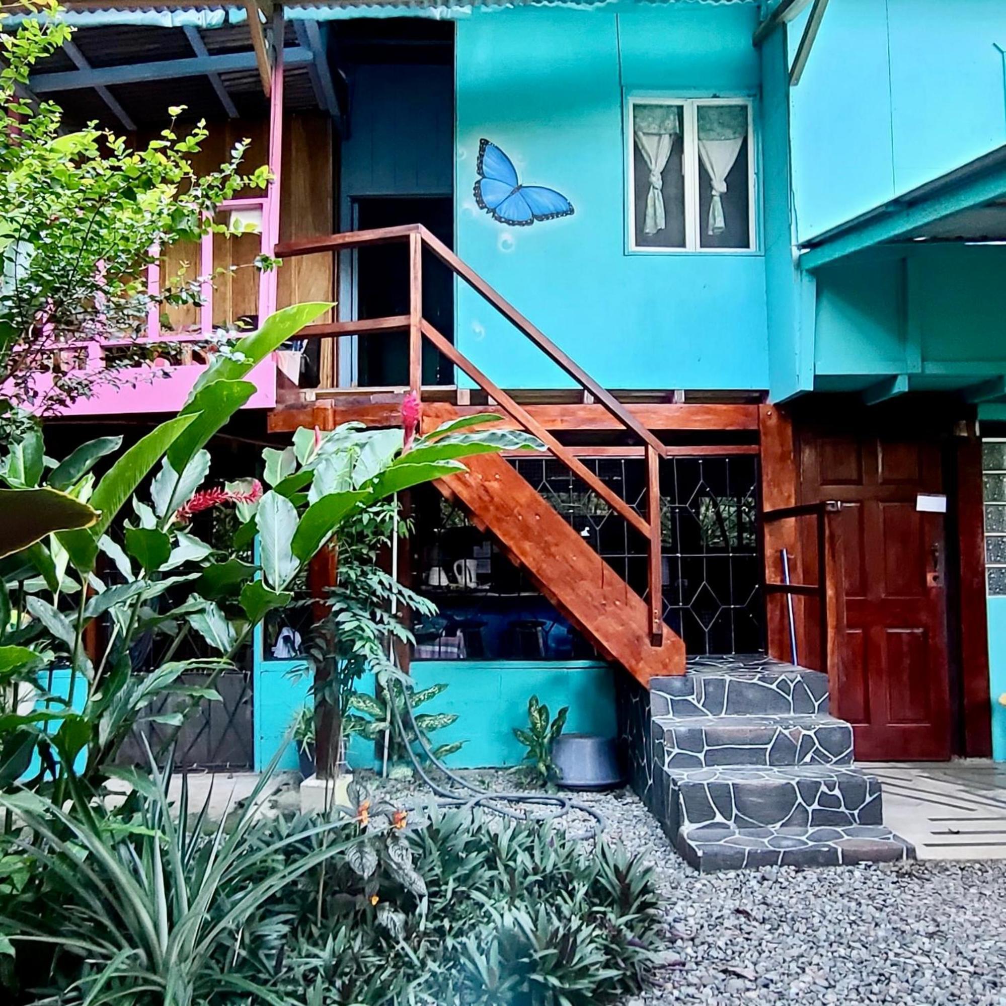 Homestay Hidden Jungle House *