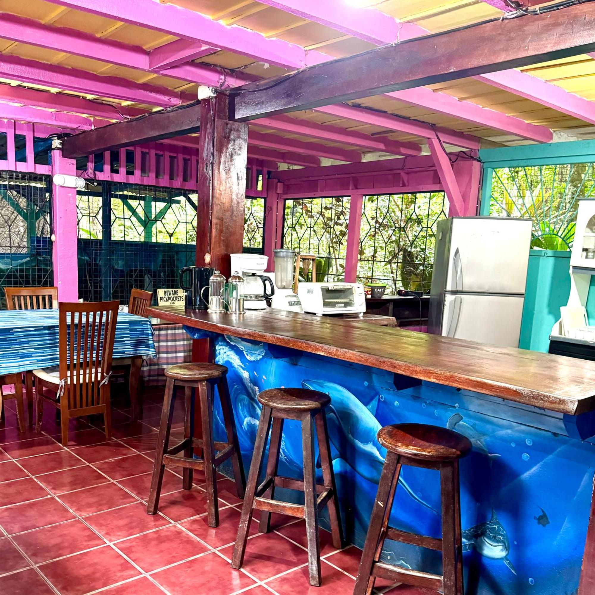 Hidden Jungle House *