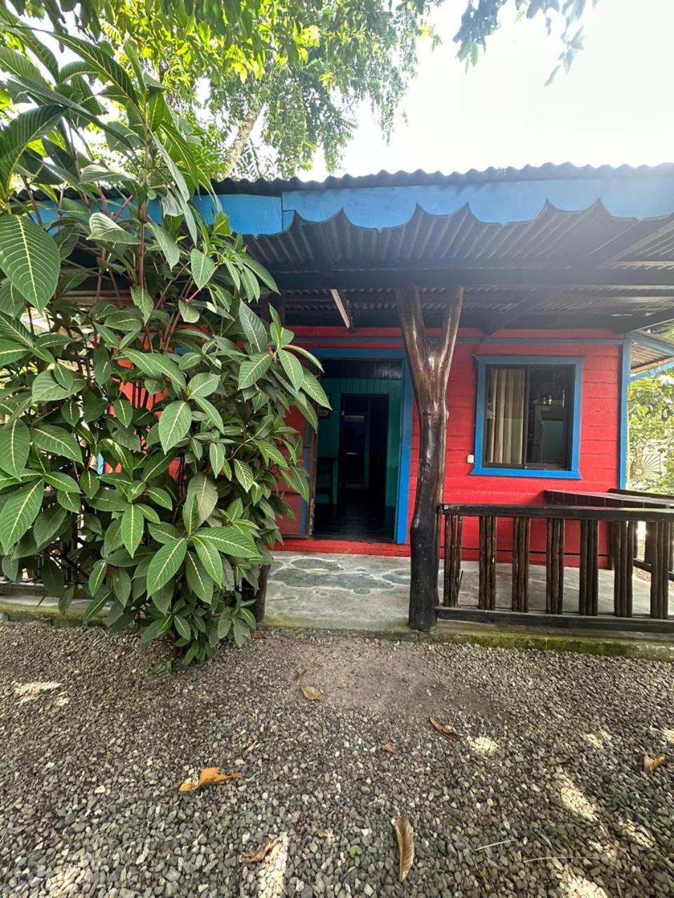 Kaya's Place