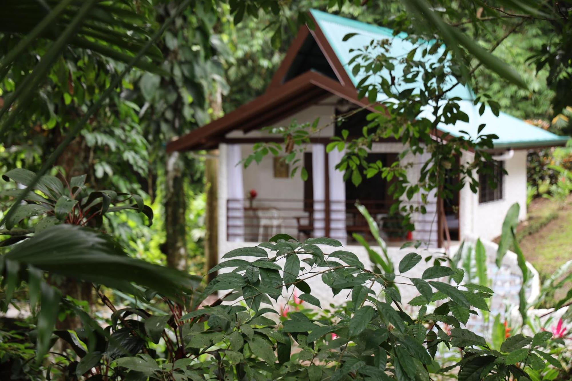 Hotel Ecotica Boutique (adults Only) 3*