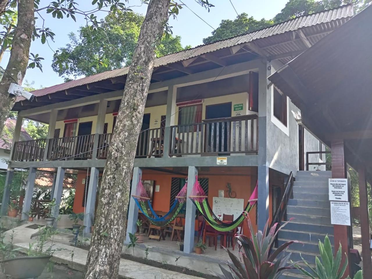 Gecko De Bed & Breakfast Tortuguero