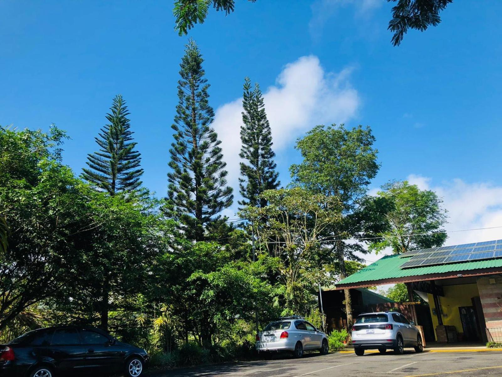 Avita Quesada (Alajuela)