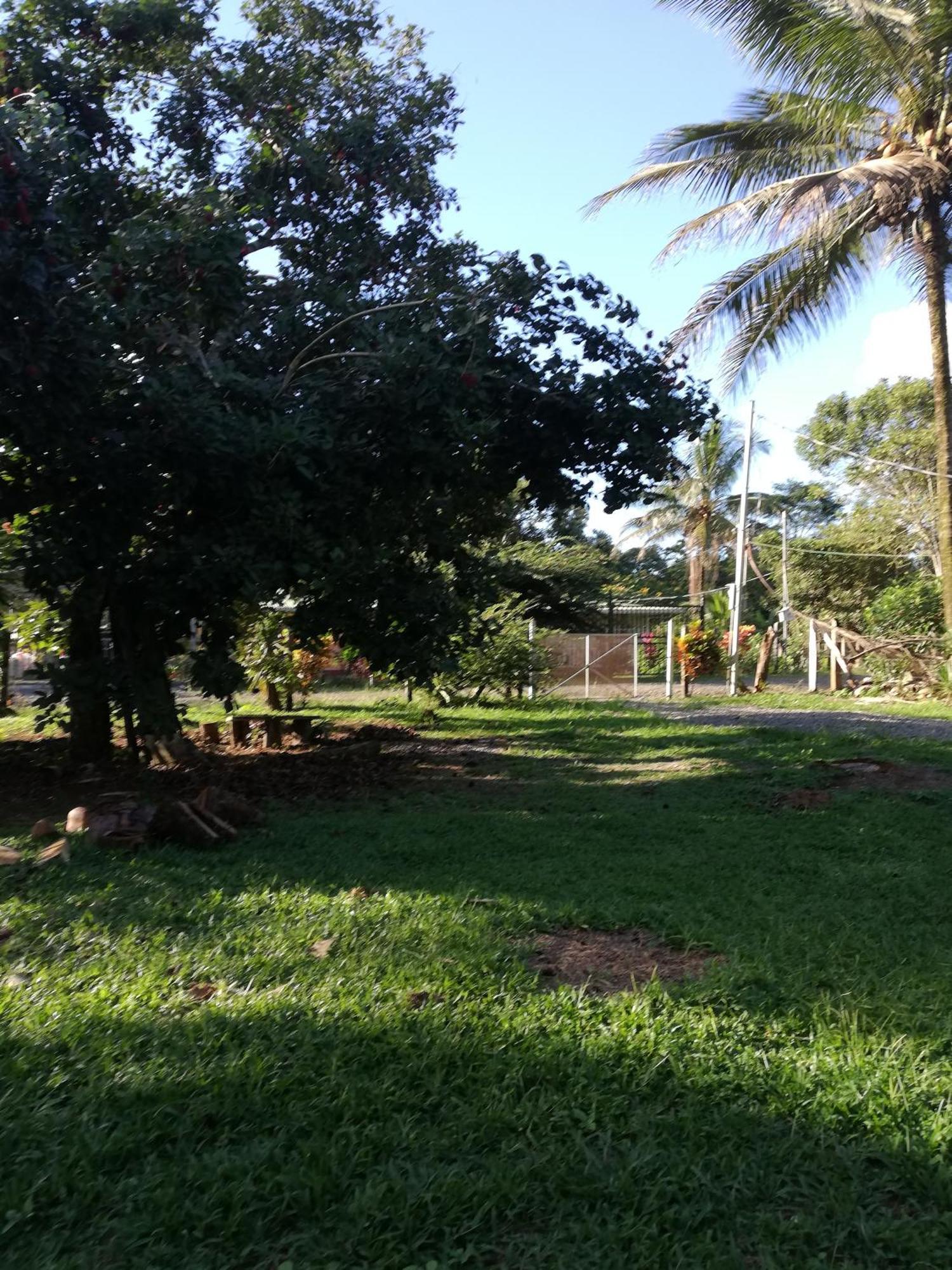 Paraiso Verde