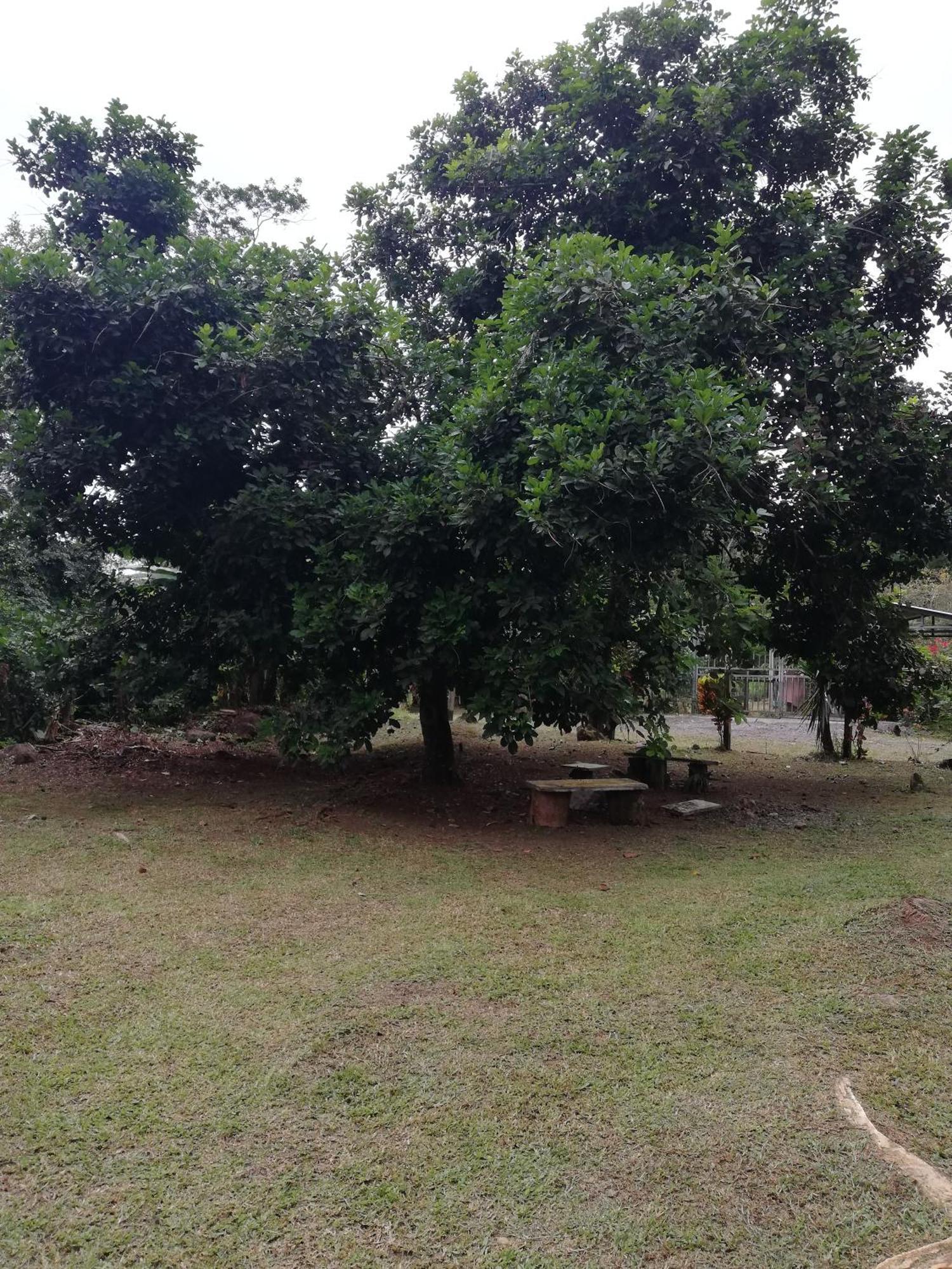 Paraiso Verde Siqurres Da Alegria