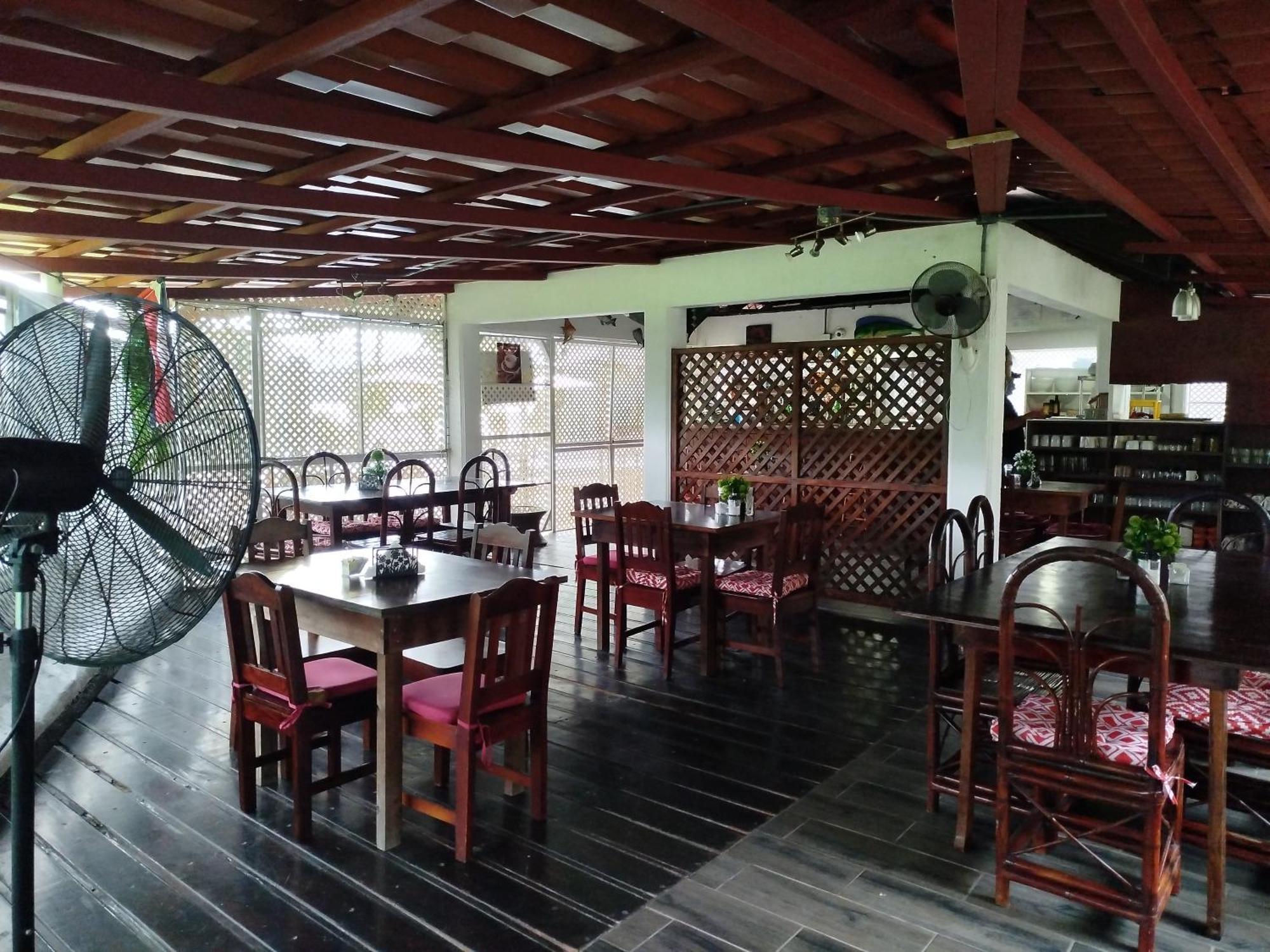 Hotel Pez Gallo *