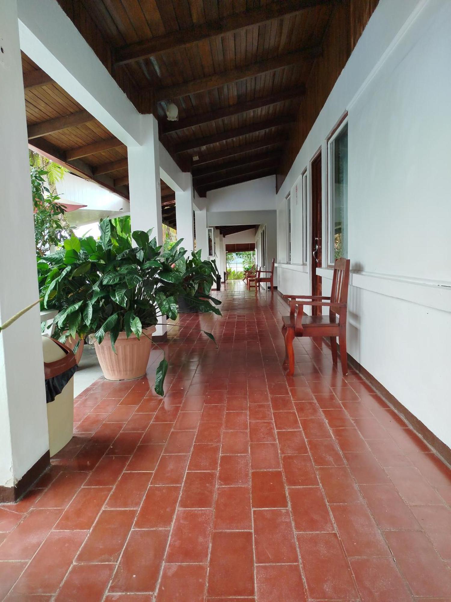 Hotel Pez Gallo