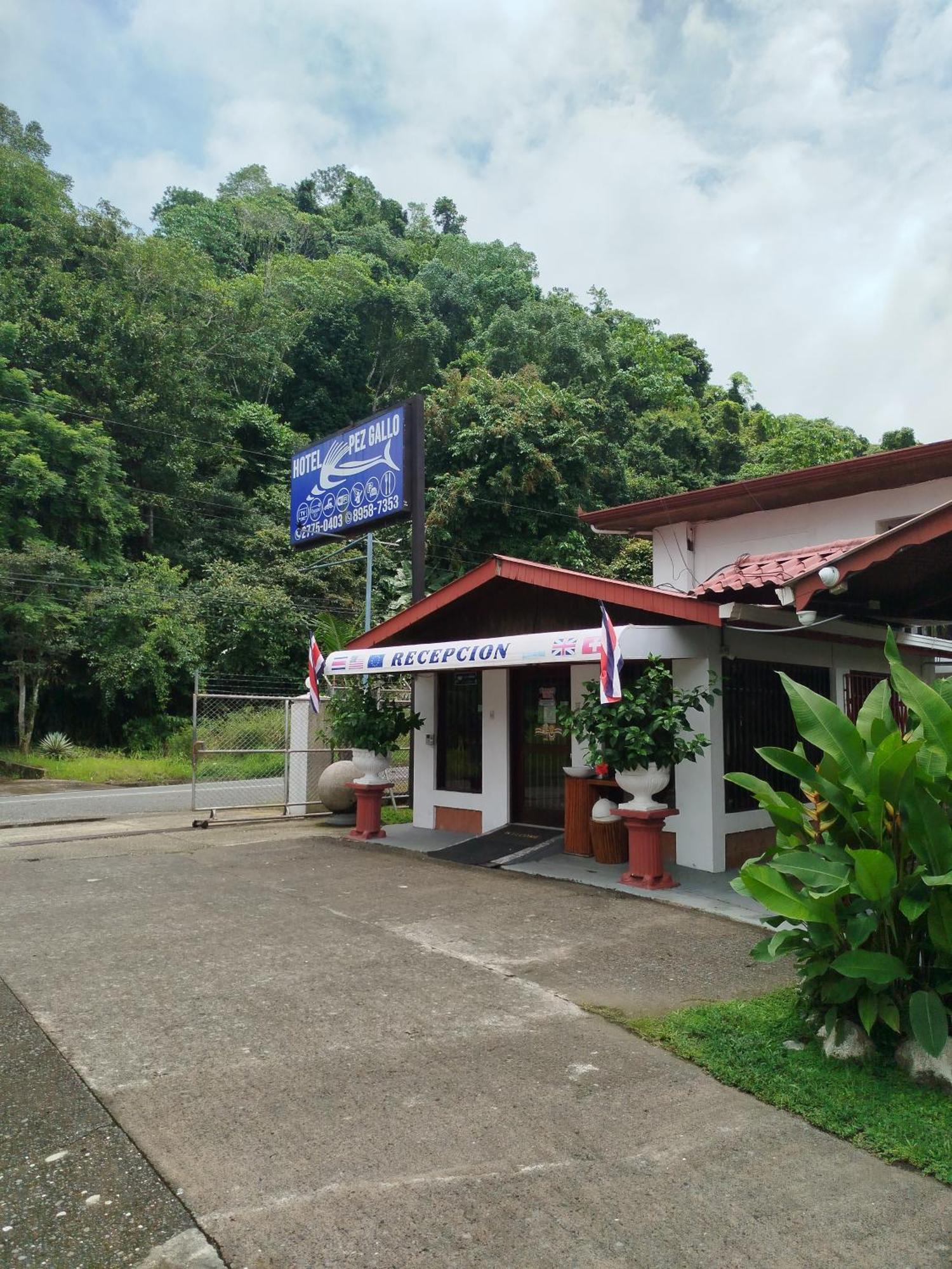 Hotel Pez Gallo