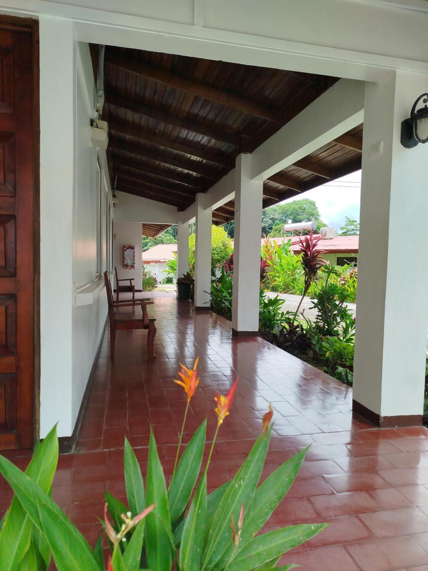 Pez Gallo Hotel