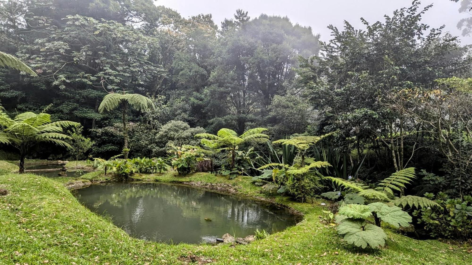 Holiday home Olingo Monteverde