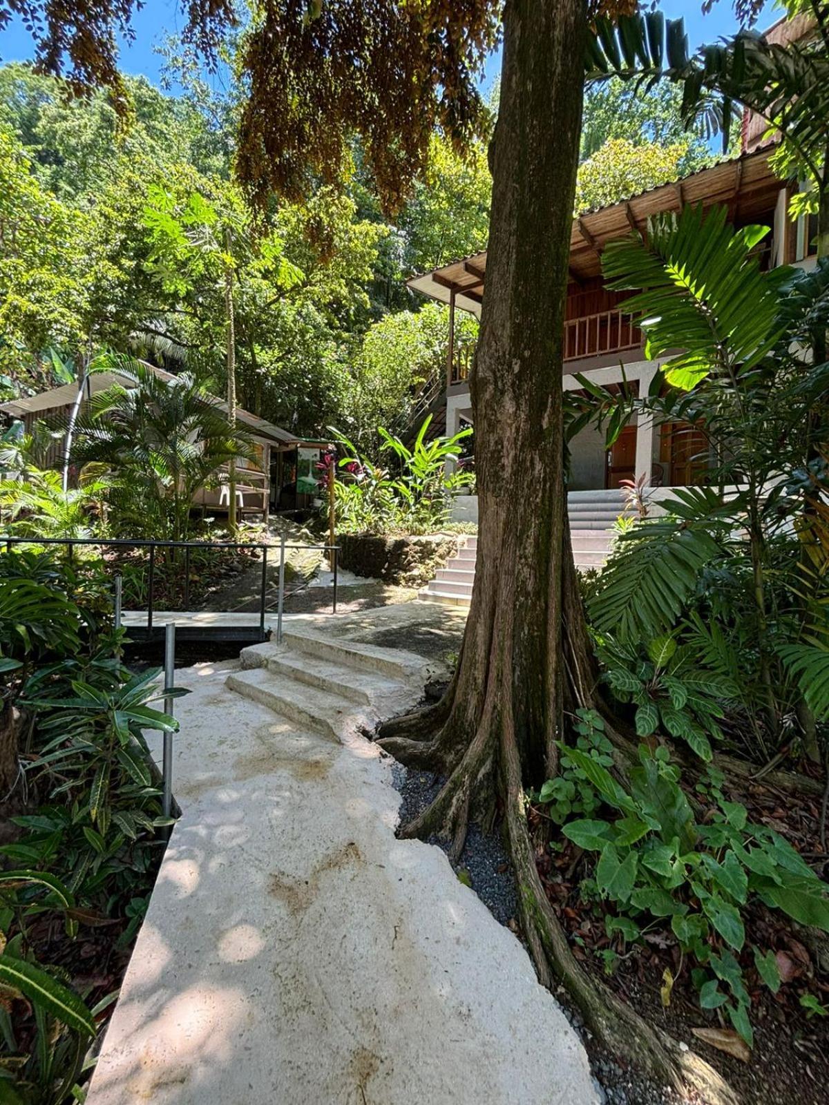 Casa Susen Homestay