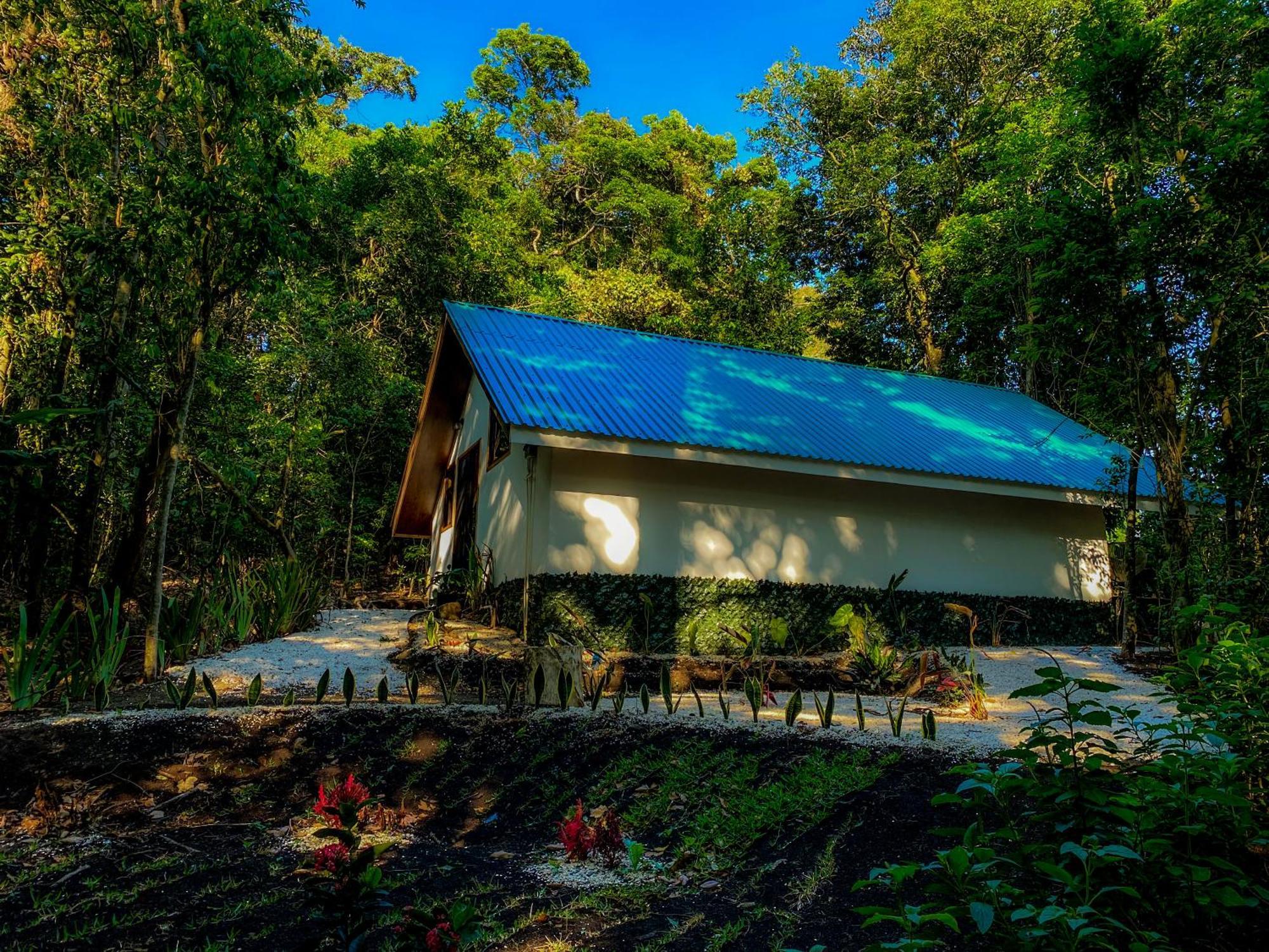 Lodge Tityra
