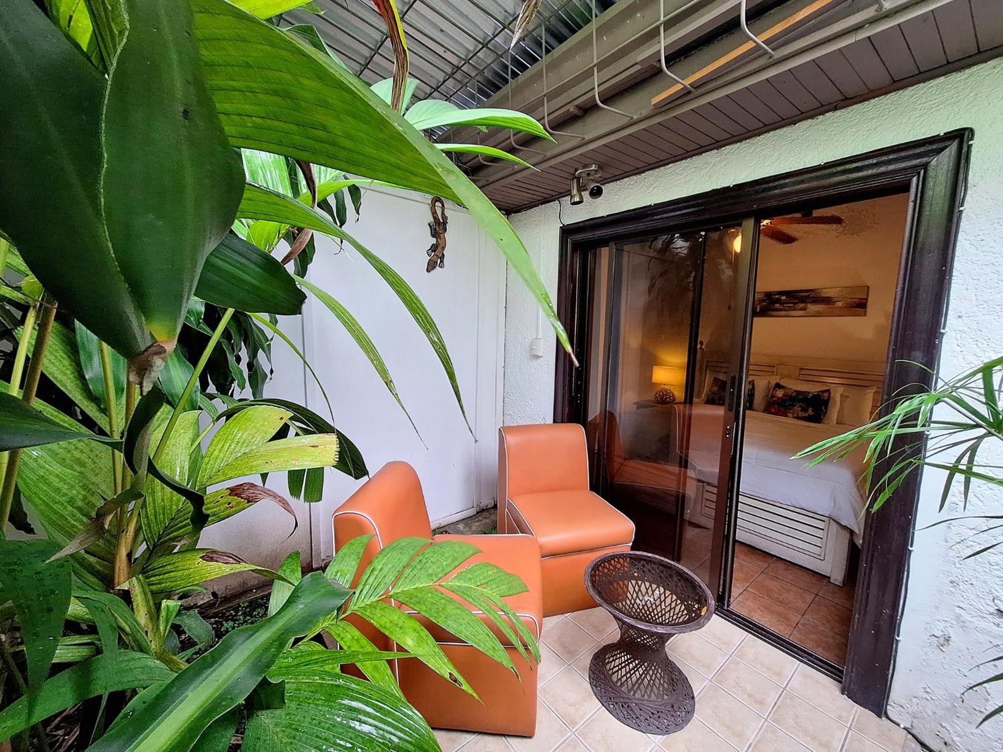 Colours Oasis Adult Only 3* San Jose (San Jose)