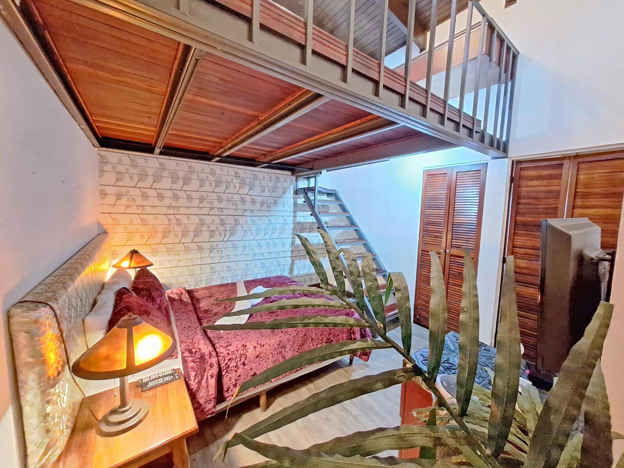 Colours Oasis Adult Only 3* San Jose (San Jose)