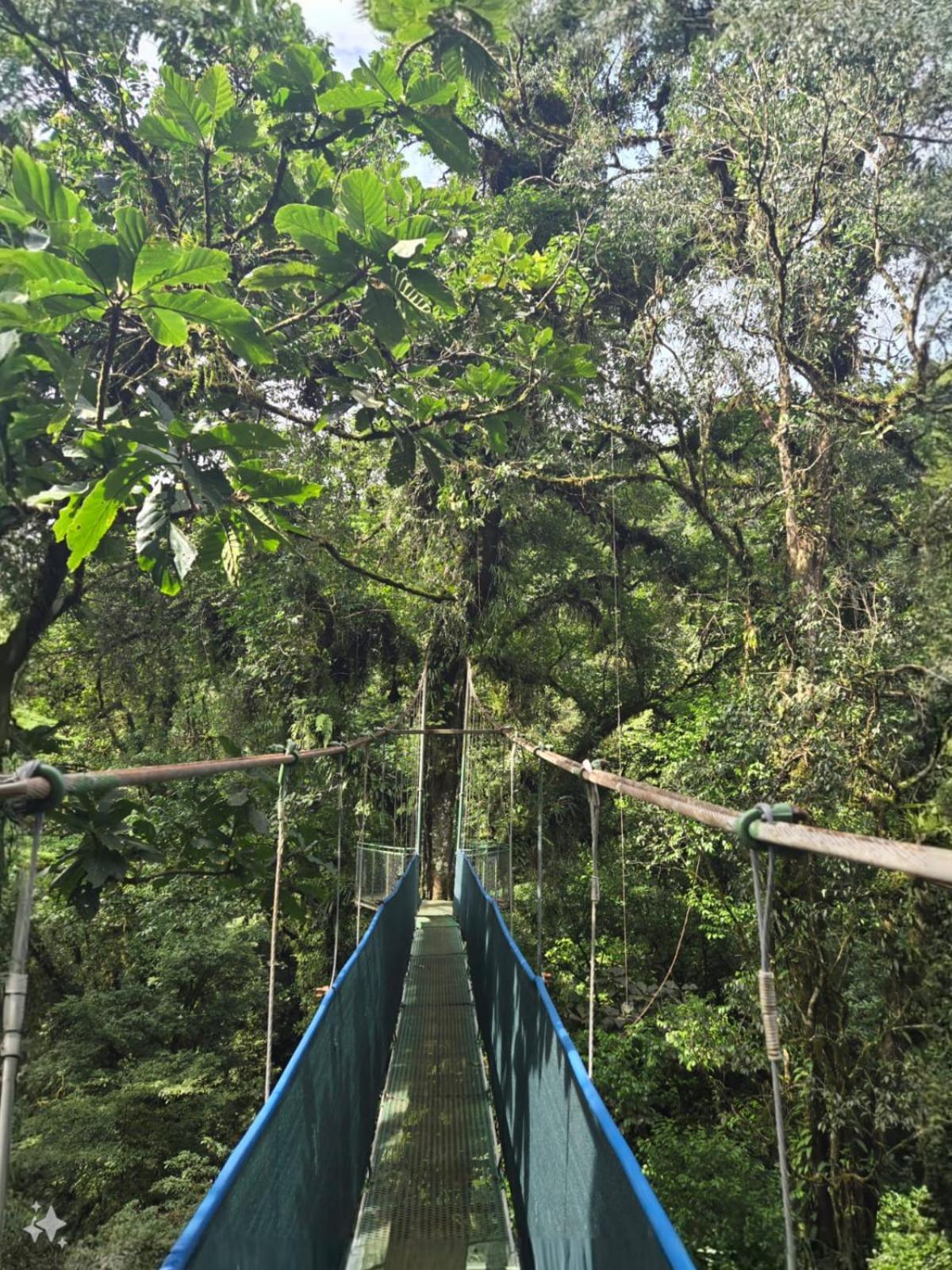 Heliconias Rainforest Bijagua