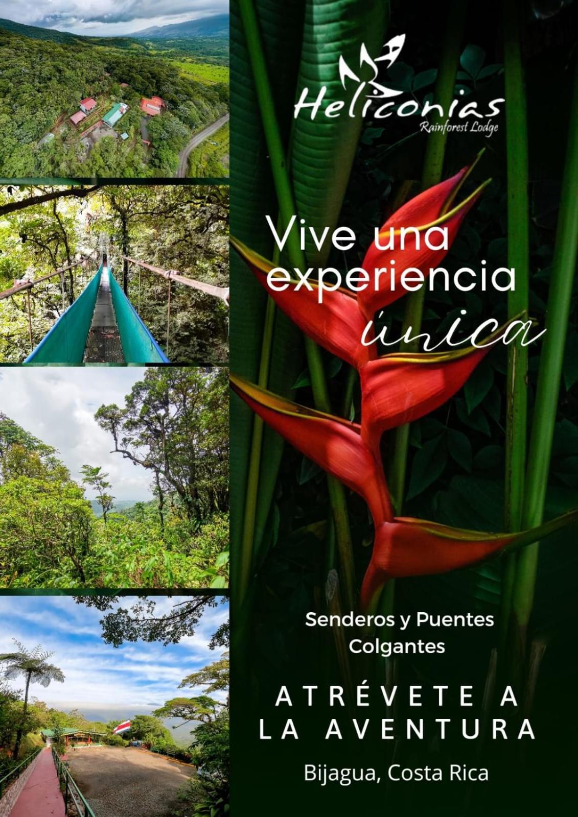 Lodge Heliconias Rainforest *