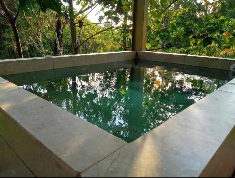 Tortuga Premium Riverfront Jungle With Jacuzzi And Pool Villa *