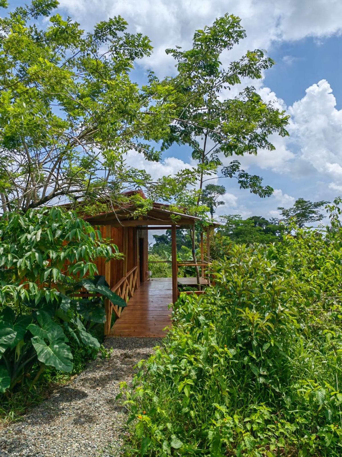 Lodge Onca Tours & Treehouses Katira