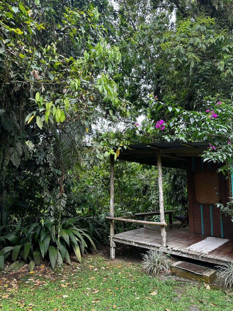 Casa Rio Blanco Eco Friendly Guapiles