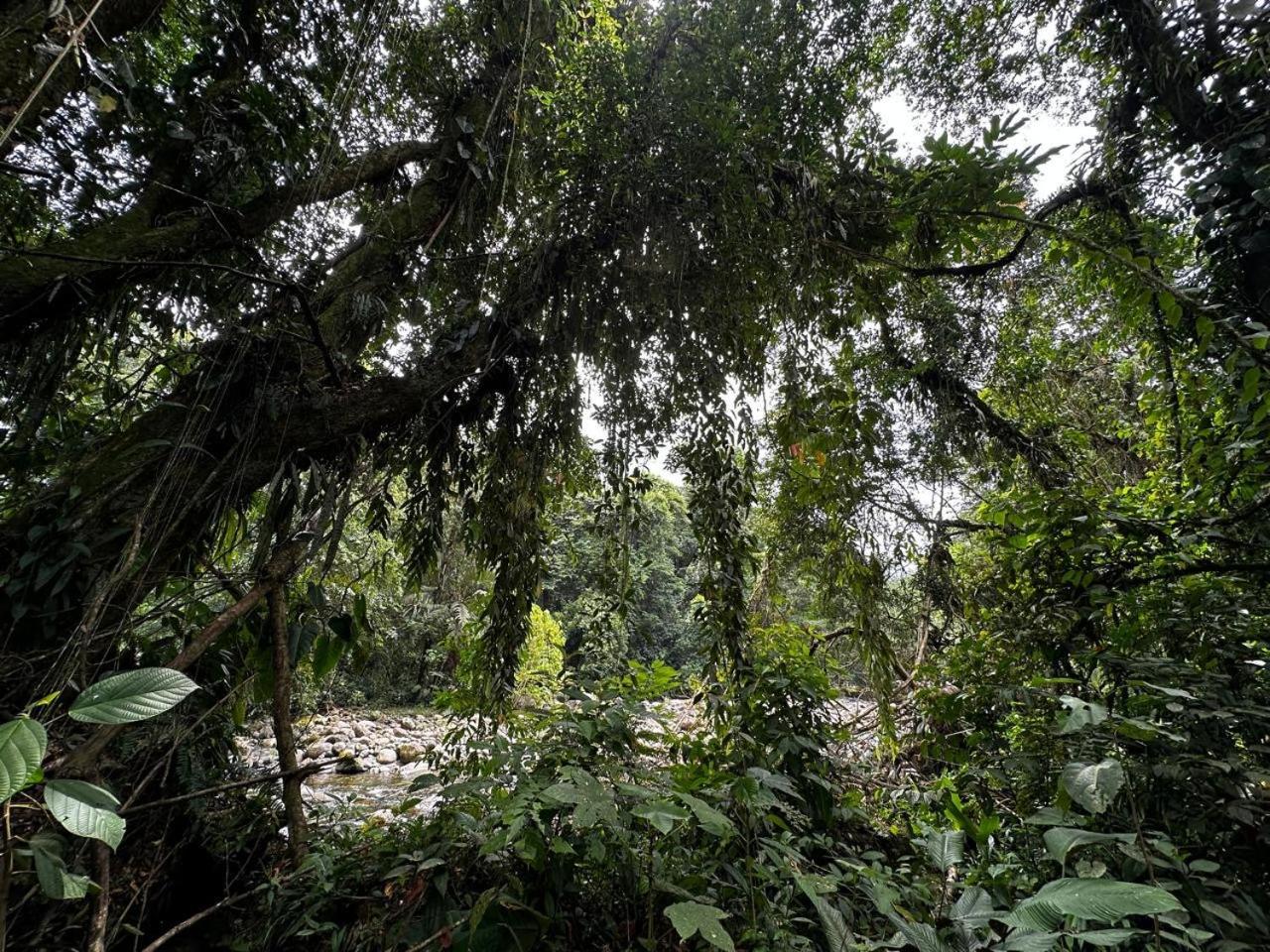 Casa Rio Blanco Eco Friendly
