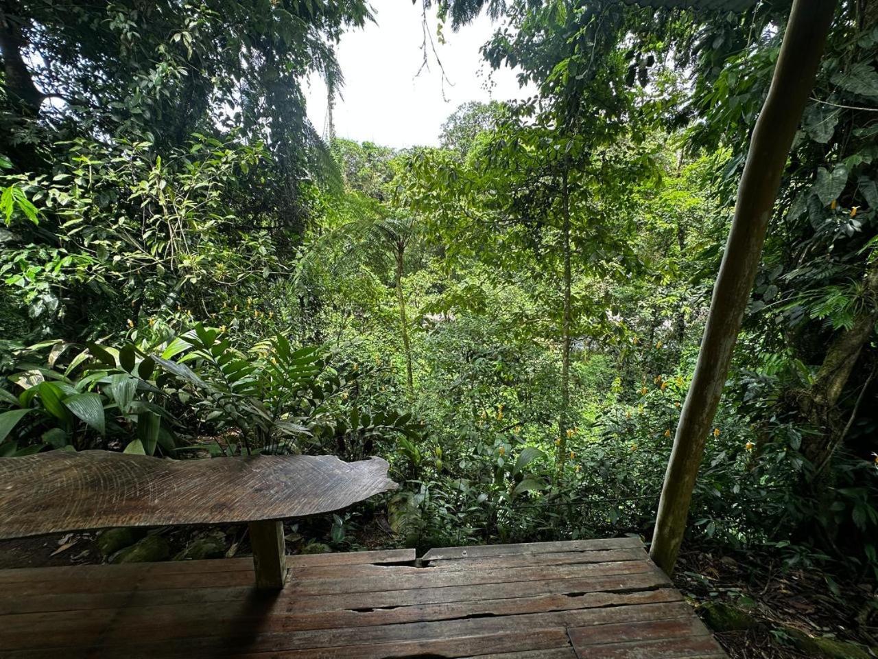 Casa Rio Blanco Eco Friendly Bed & Breakfast