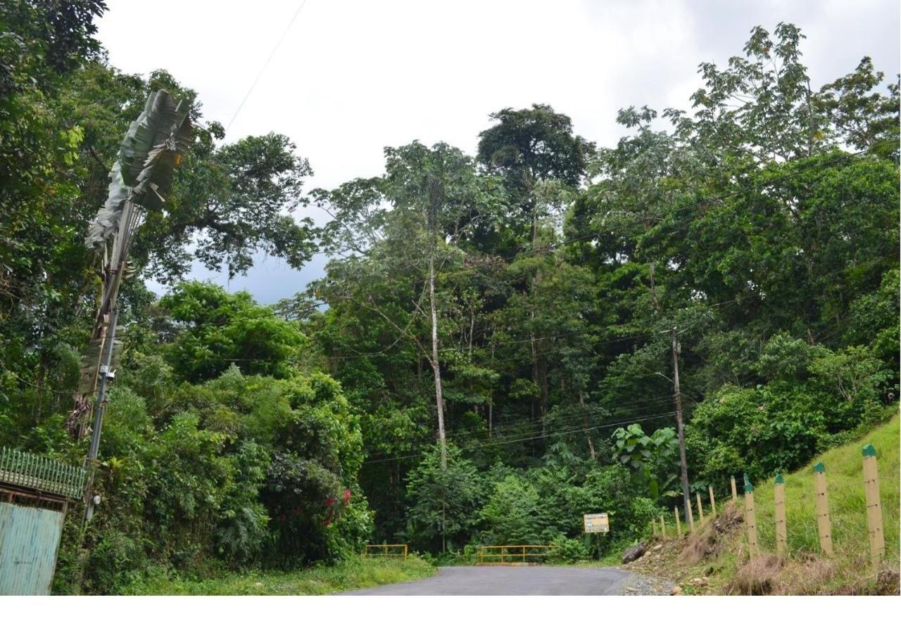 Casa Rio Blanco Eco Friendly *