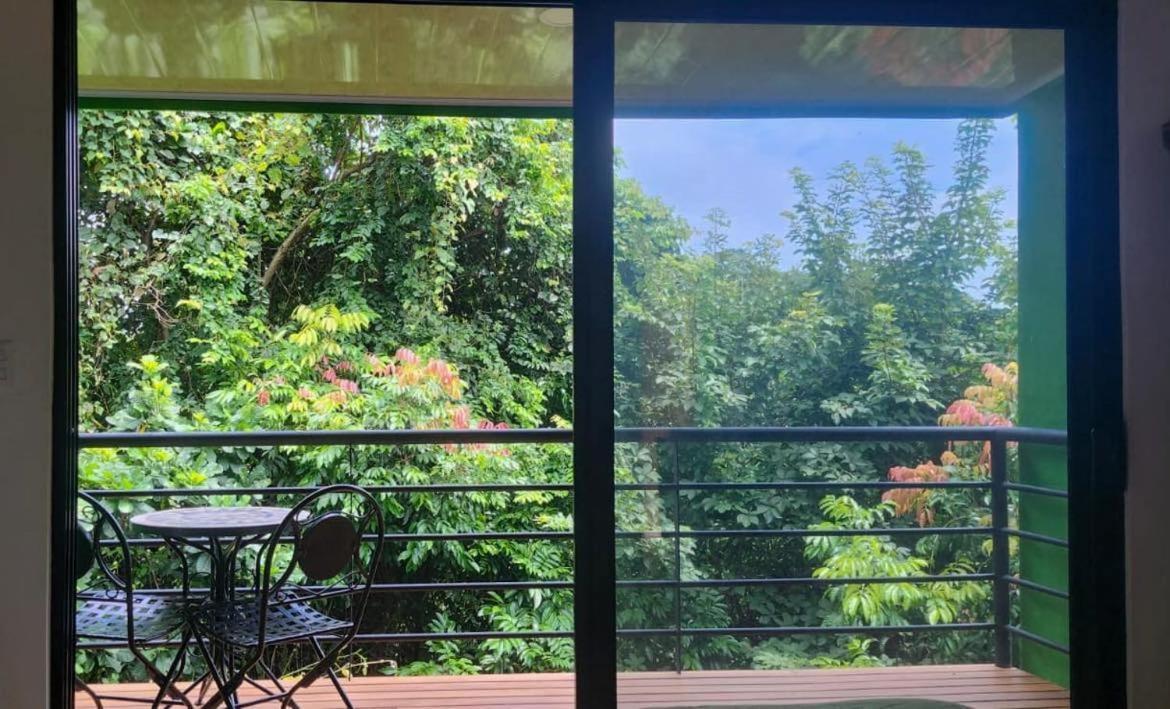 Sunshine Sanctuary Boutique Jungle * Montezuma