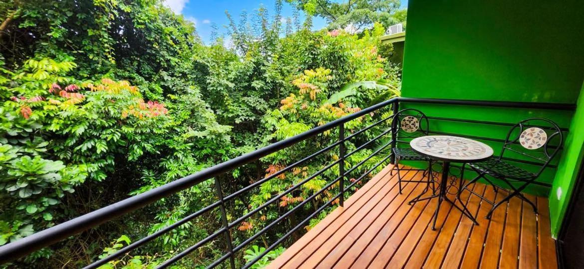 Sunshine Sanctuary Boutique Jungle