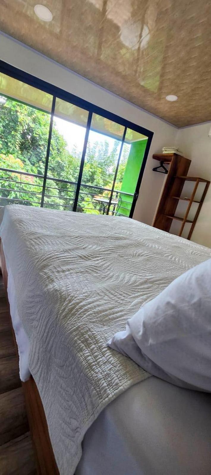 Sunshine Sanctuary Boutique Jungle Lodge