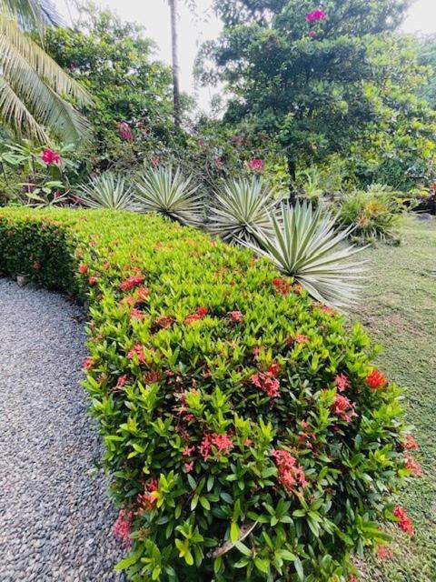 Tortuga Premium Riverfront Jungle With Jacuzzi And Pool * Uvita