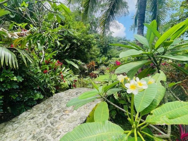 Villa Tortuga Premium Riverfront Jungle With Jacuzzi And Pool Uvita