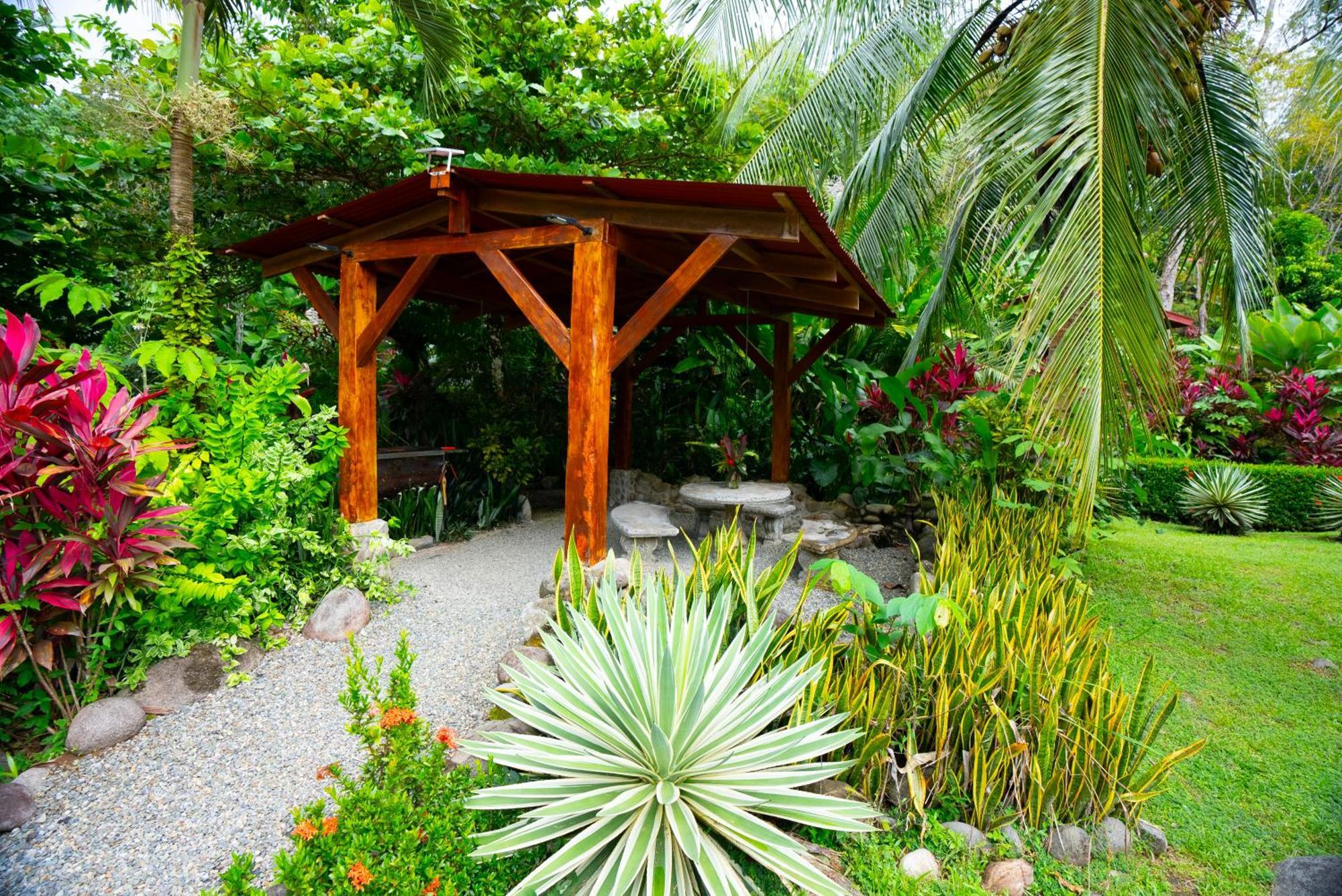 Tortuga Premium Riverfront Jungle With Jacuzzi And Pool
