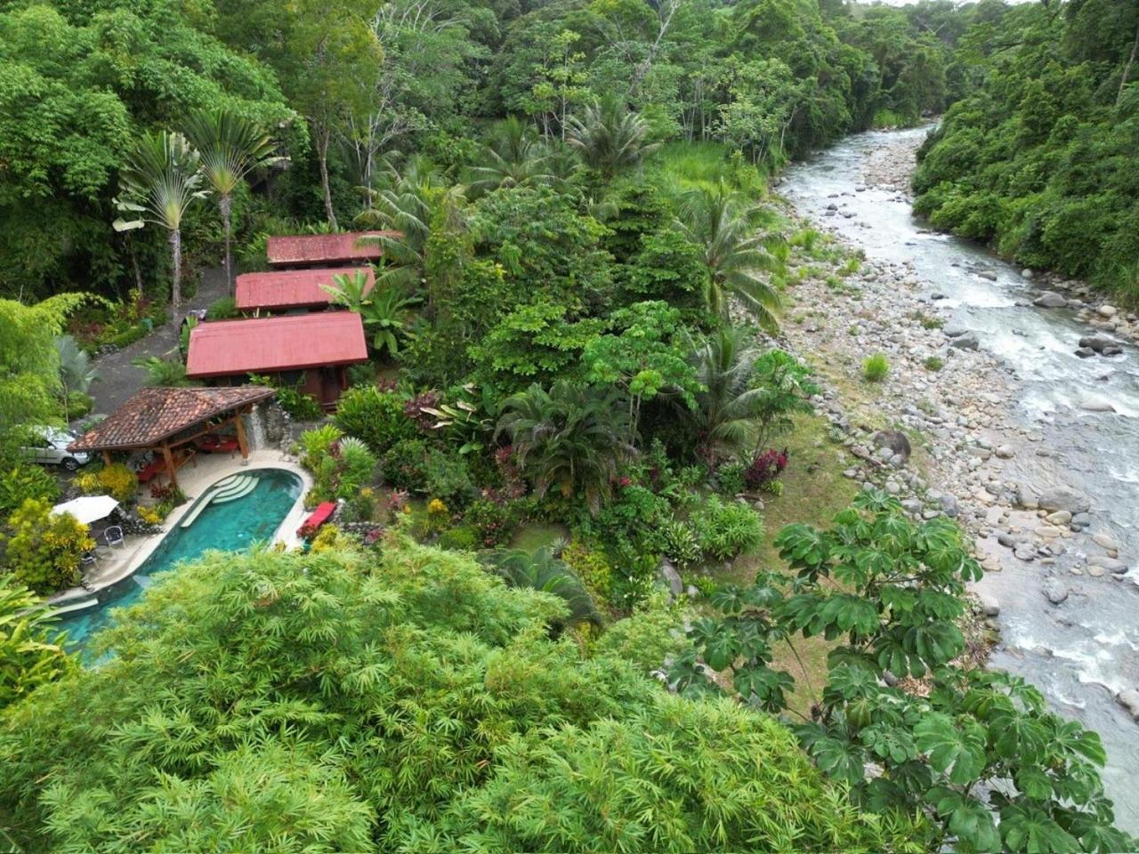 Tortuga Premium Riverfront Jungle With Jacuzzi And Pool * Uvita