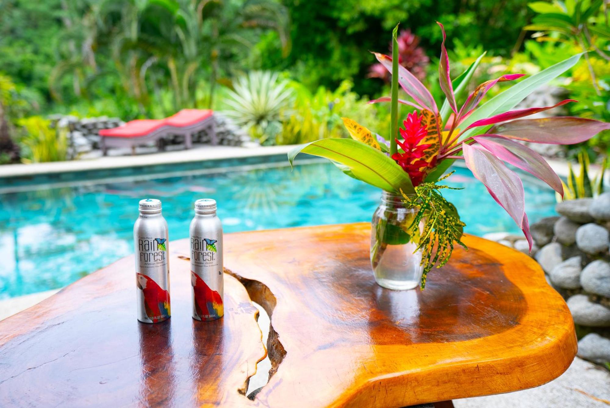 Villa Tortuga Premium Riverfront Jungle With Jacuzzi And Pool