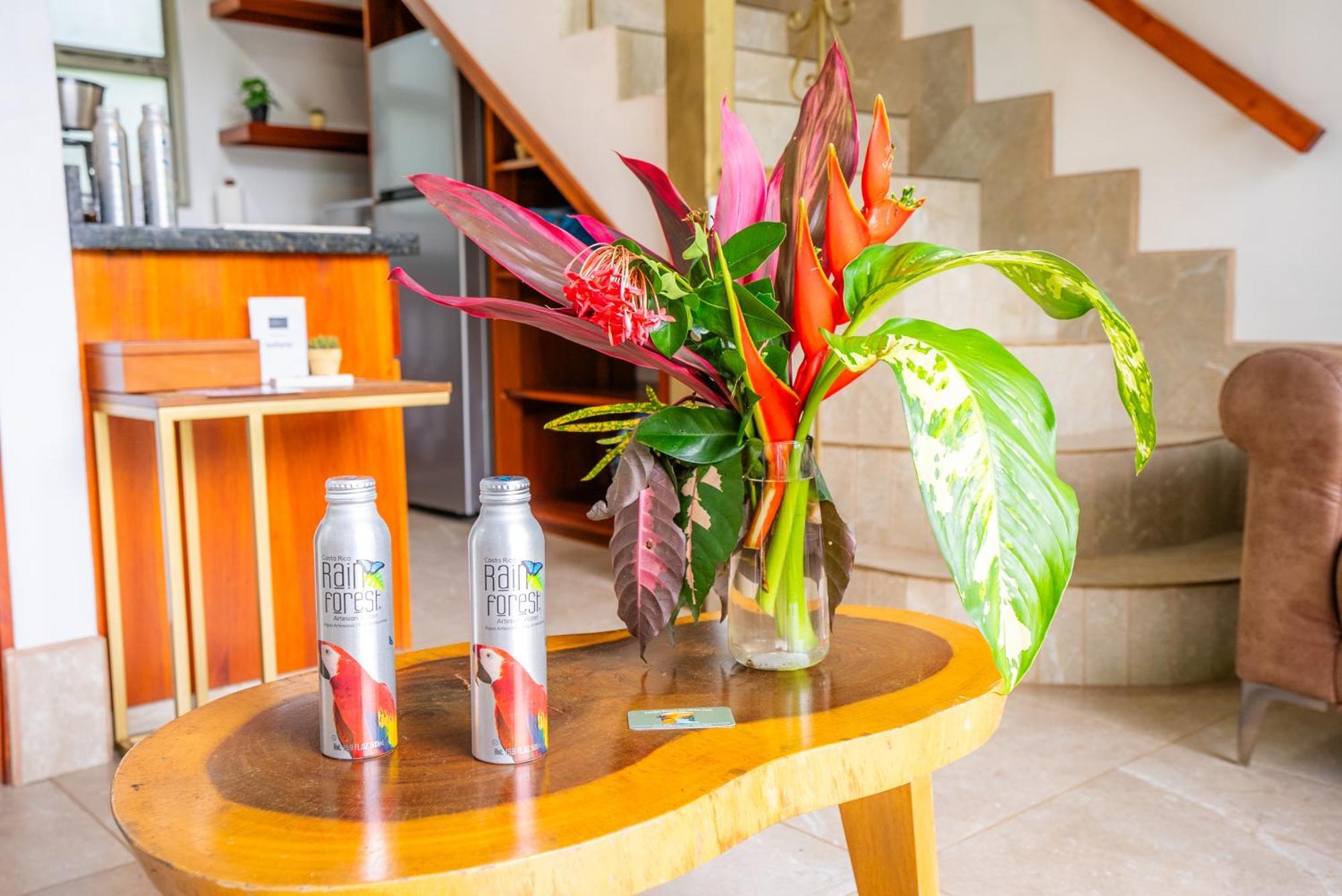 Tortuga Premium Riverfront Jungle With Jacuzzi And Pool *