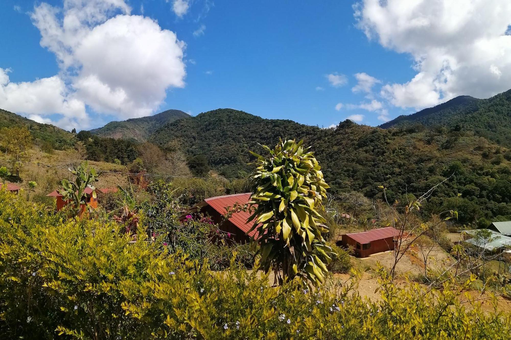 Mario's Providencia Hotel Copey