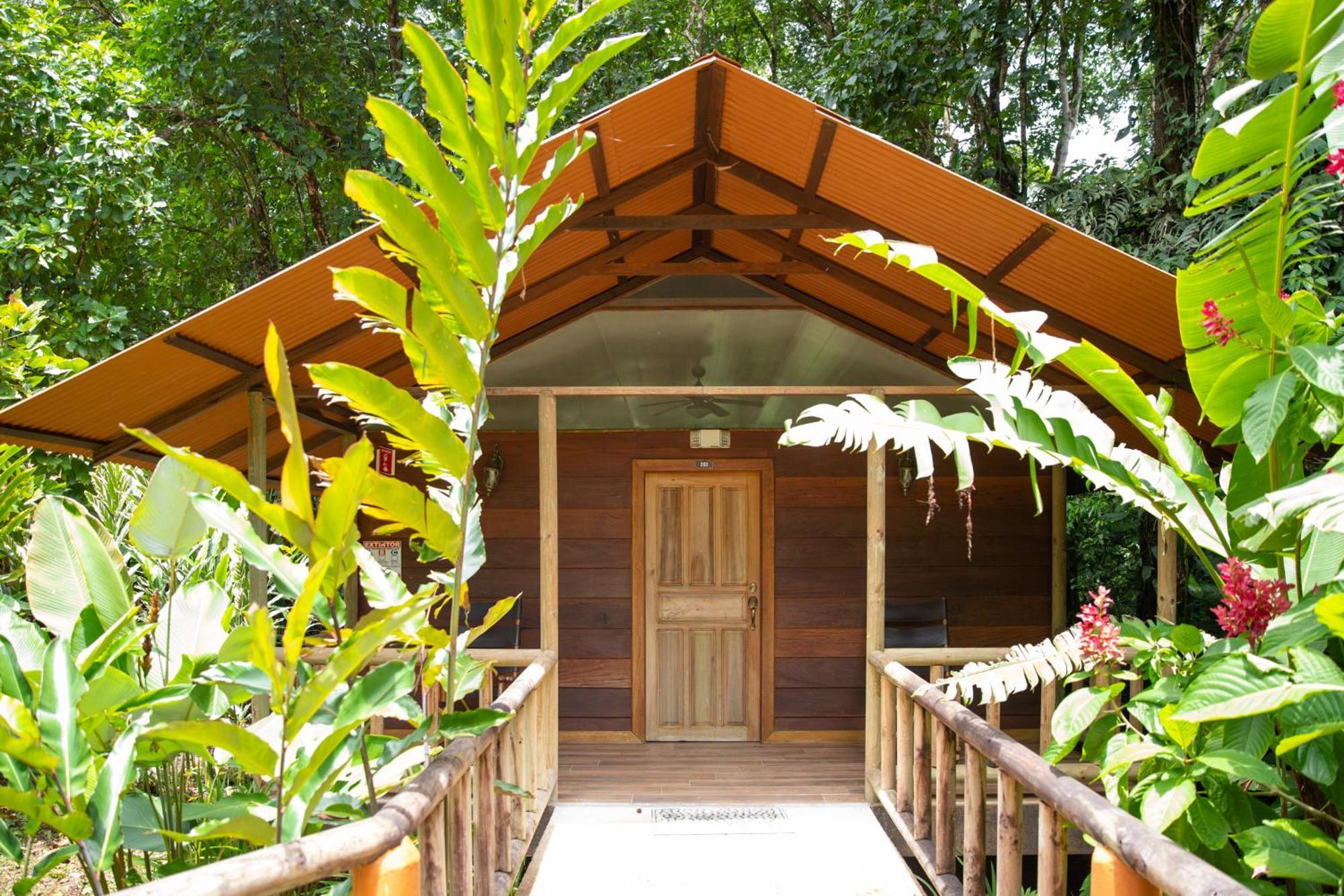 Hotel Pachira Tortuguero