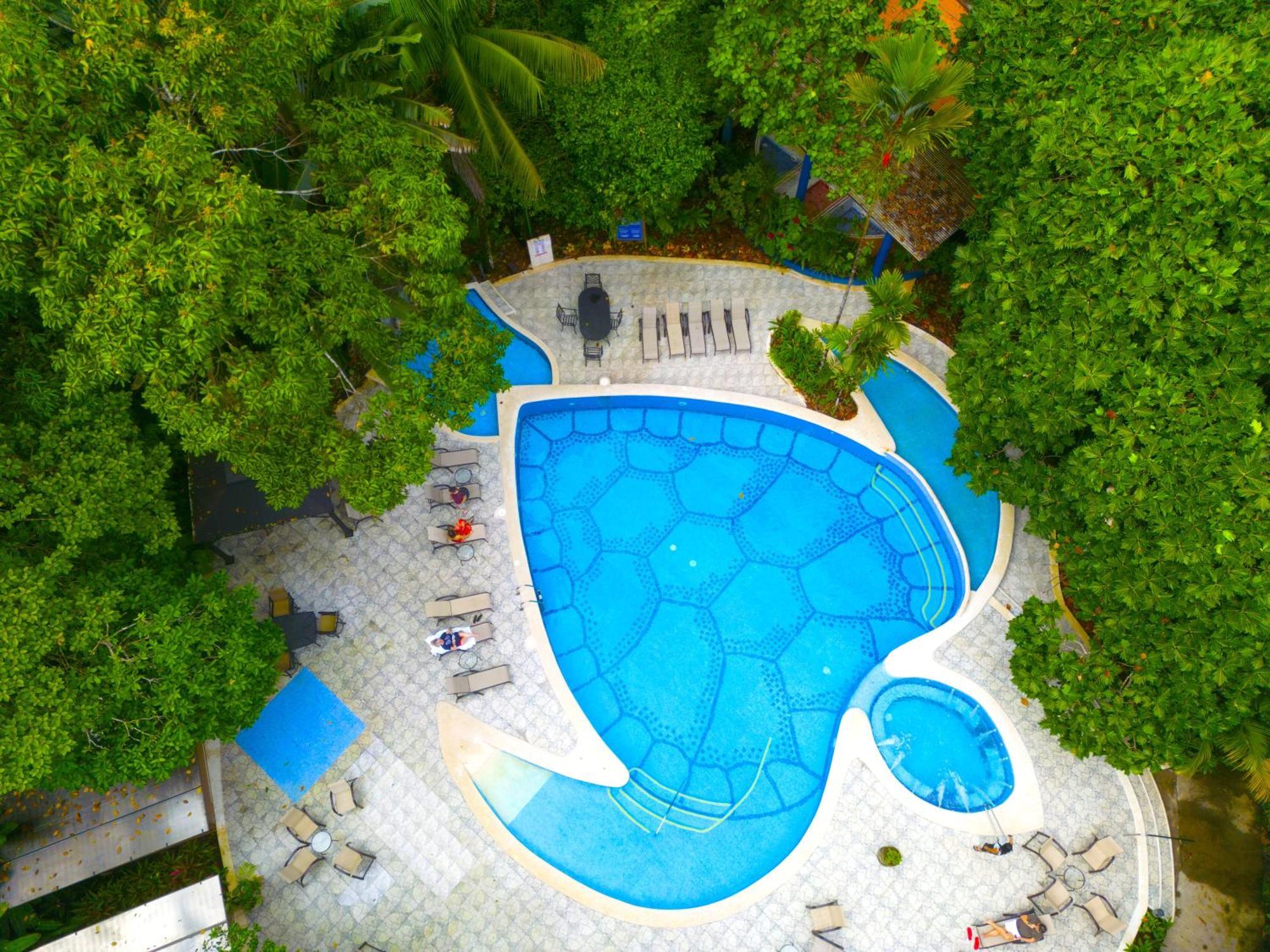 Aninga Tortuguero