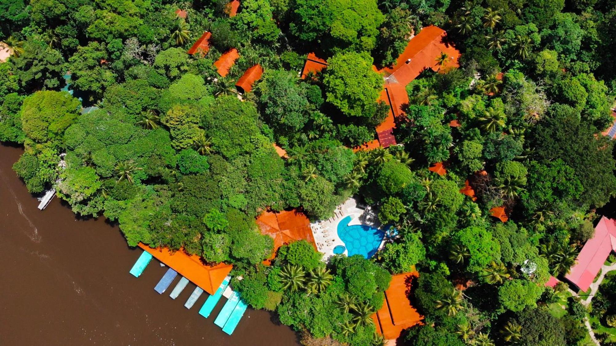 Aninga Tortuguero